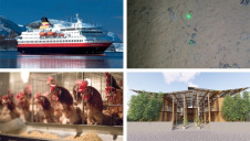 This week's innovations could help to decarbonise shipping, house those living in slums and feed our livestock more sustainably